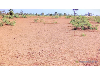 Terrain de 1,34 hectare à Ndiéyene Sirakh