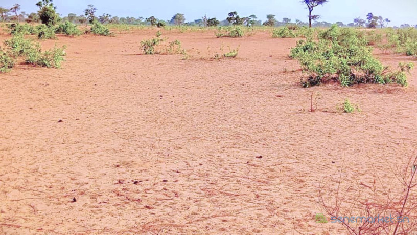 terrain-de-134-hectare-a-ndieyene-sirakh-big-2