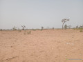 terrain-de-319-hectares-a-ndieyene-sirakh-small-0