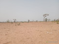 terrain-de-319-hectares-a-ndieyene-sirakh-small-2