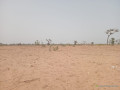 terrain-de-319-hectares-a-ndieyene-sirakh-small-1