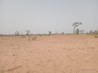 Terrain de 3,19 hectares à Ndiéyene Sirakh