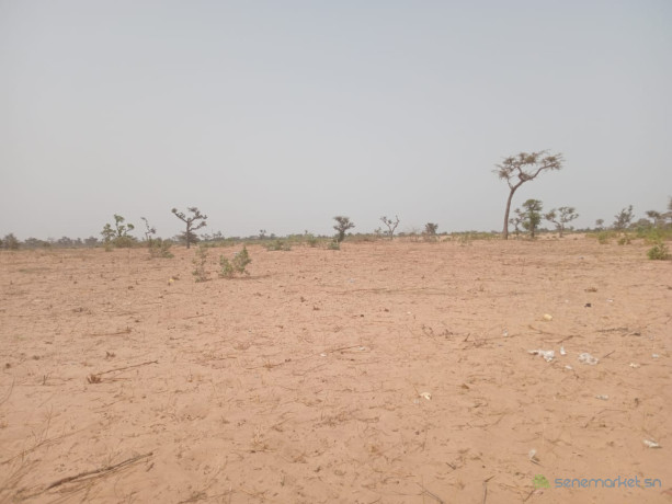 terrain-de-319-hectares-a-ndieyene-sirakh-big-0