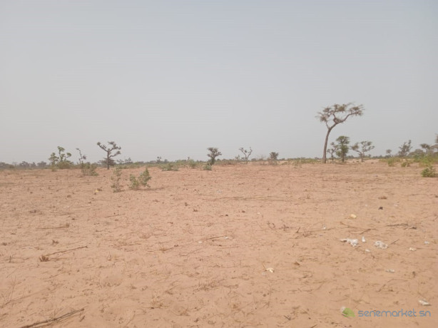 terrain-de-319-hectares-a-ndieyene-sirakh-big-2