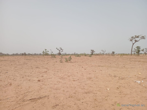 terrain-de-319-hectares-a-ndieyene-sirakh-big-1