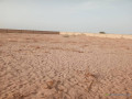 terrain-de-12-hectares-vers-touba-small-2