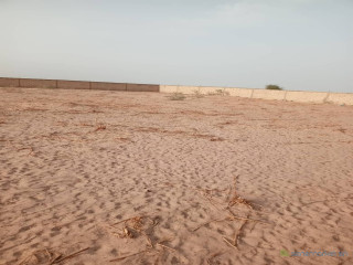 Terrain de 12 hectares vers Touba