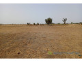 terrain-de-206-hectares-vers-tassette-small-1