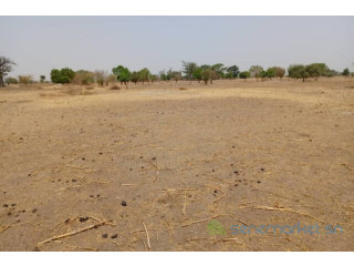 Terrain de 2,06 hectares vers Tassette