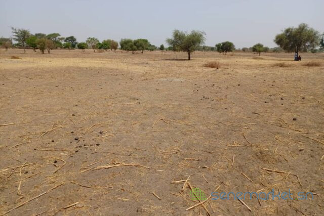 terrain-de-206-hectares-vers-tassette-big-2