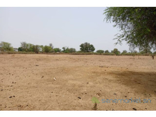 Terrain de 1,52 hectare vers Tassette