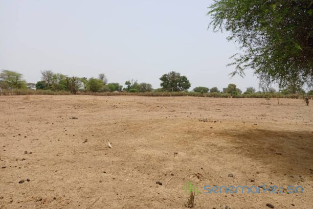 terrain-de-152-hectare-vers-tassette-big-0