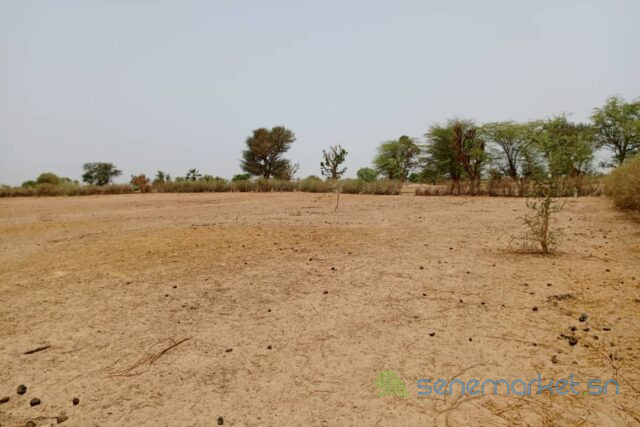 terrain-de-152-hectare-vers-tassette-big-1