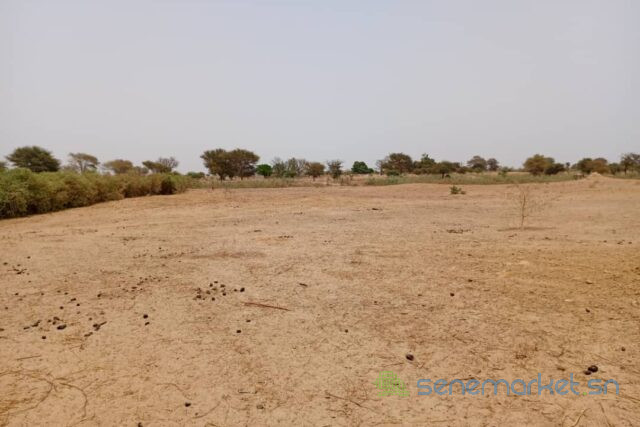 terrain-de-152-hectare-vers-tassette-big-2