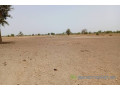 terrain-de-183-hectare-vers-tassette-small-1