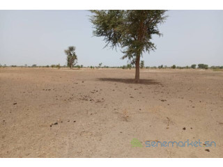 Terrain de 1,83 hectare vers Tassette