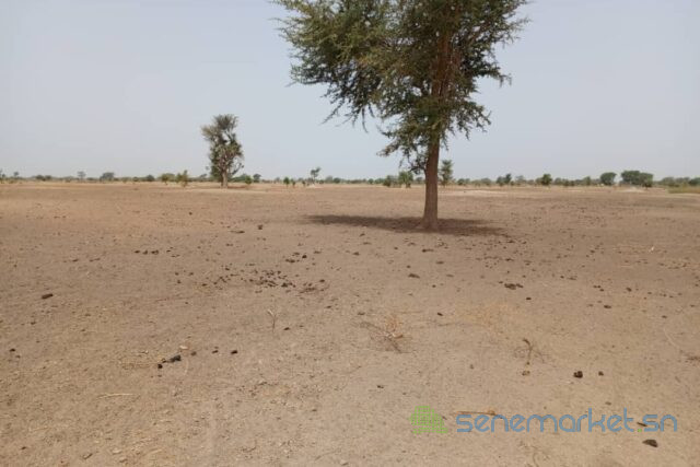 terrain-de-183-hectare-vers-tassette-big-0