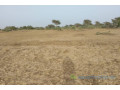 terrain-agricole-de-2-hectares-vers-thienaba-small-1