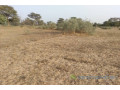 terrain-agricole-de-2-hectares-vers-thienaba-small-0