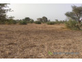 terrain-agricole-de-2-hectares-vers-thienaba-small-2