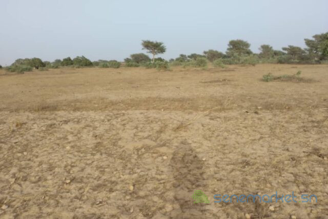 terrain-agricole-de-2-hectares-vers-thienaba-big-1