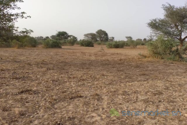 terrain-agricole-de-2-hectares-vers-thienaba-big-2