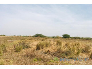 Terrain de 2 hectares vers Yenne