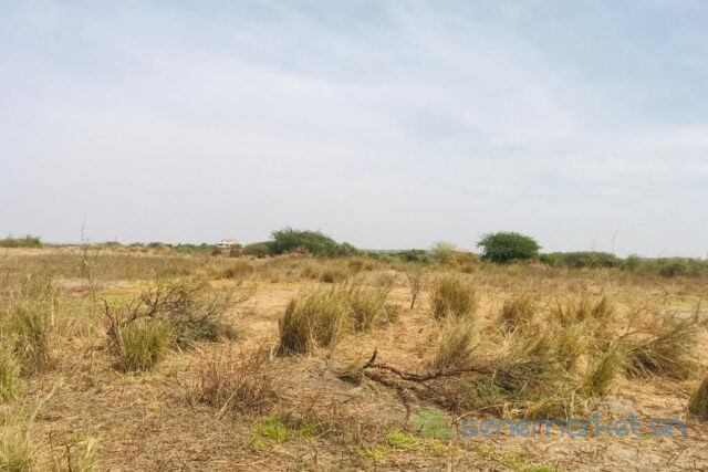 terrain-de-2-hectares-vers-yenne-big-2