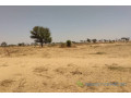 terrain-de-204-hectares-a-tassette-small-1