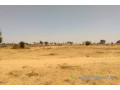 terrain-de-204-hectares-a-tassette-small-2