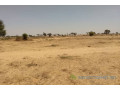 terrain-de-204-hectares-a-tassette-small-0