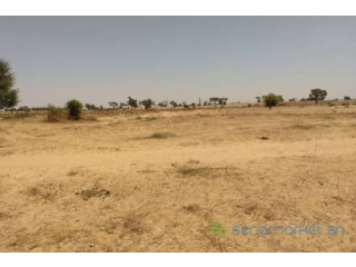 Terrain de 2,04 hectares à Tassette