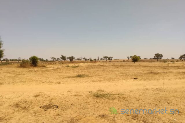 terrain-de-204-hectares-a-tassette-big-2
