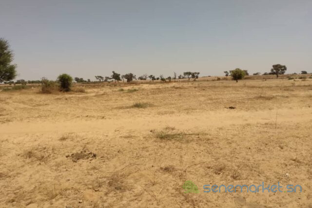 terrain-de-204-hectares-a-tassette-big-0