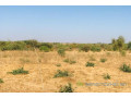 terrain-de-205-hectares-vers-popenguine-small-1