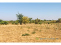 terrain-de-205-hectares-vers-popenguine-small-2