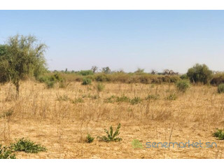 Terrain de 2,05 hectares vers Popenguine