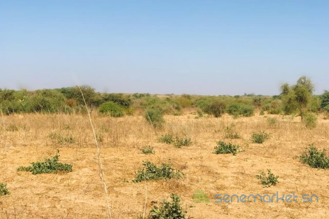 terrain-de-205-hectares-vers-popenguine-big-1