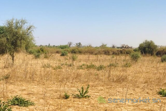terrain-de-205-hectares-vers-popenguine-big-0