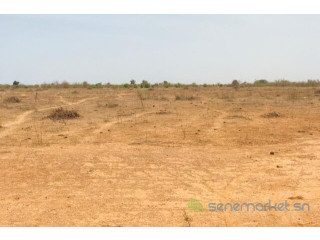 Terrain de 2,06 hectares vers Notto Diobass
