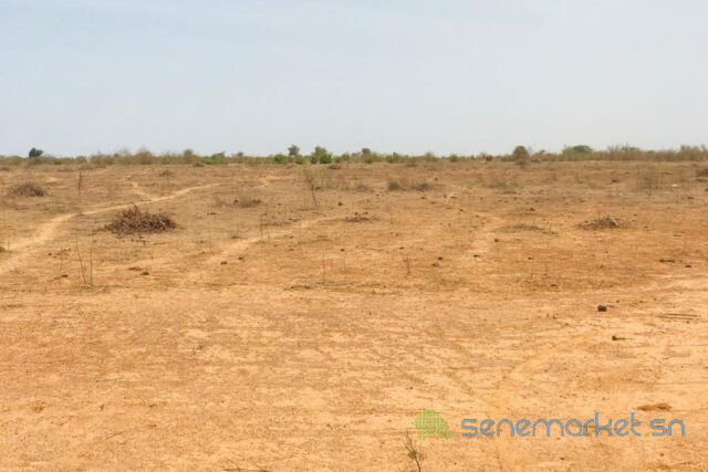 terrain-de-206-hectares-vers-notto-diobass-big-0