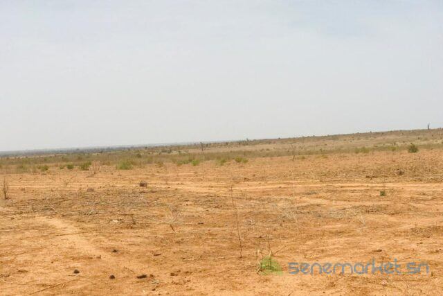 terrain-de-206-hectares-vers-notto-diobass-big-1