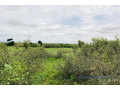 terrain-de-206-hectares-vers-notto-gouye-diama-small-0