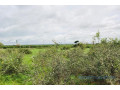 terrain-de-206-hectares-vers-notto-gouye-diama-small-1