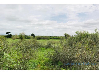 Terrain de 2,06 hectares vers Notto Gouye Diama