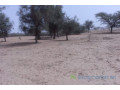 terrain-de-208-hectares-vers-baba-garage-small-0