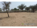 terrain-de-208-hectares-vers-baba-garage-small-2