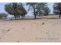 terrain-de-208-hectares-vers-baba-garage-small-1