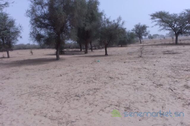 terrain-de-208-hectares-vers-baba-garage-big-0