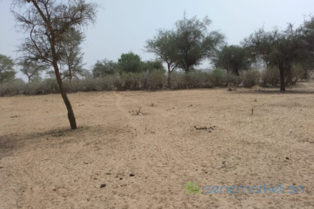 terrain-de-208-hectares-vers-baba-garage-big-2